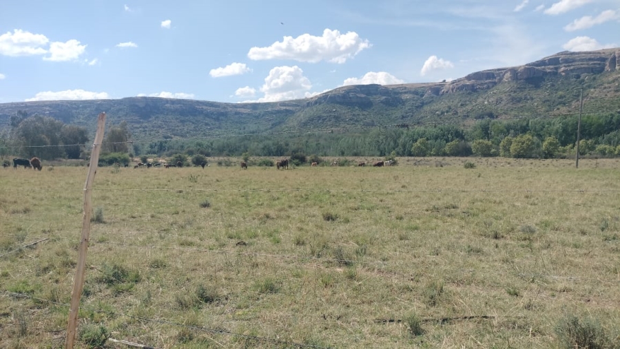 2 Bedroom Property for Sale in Ladybrand Free State